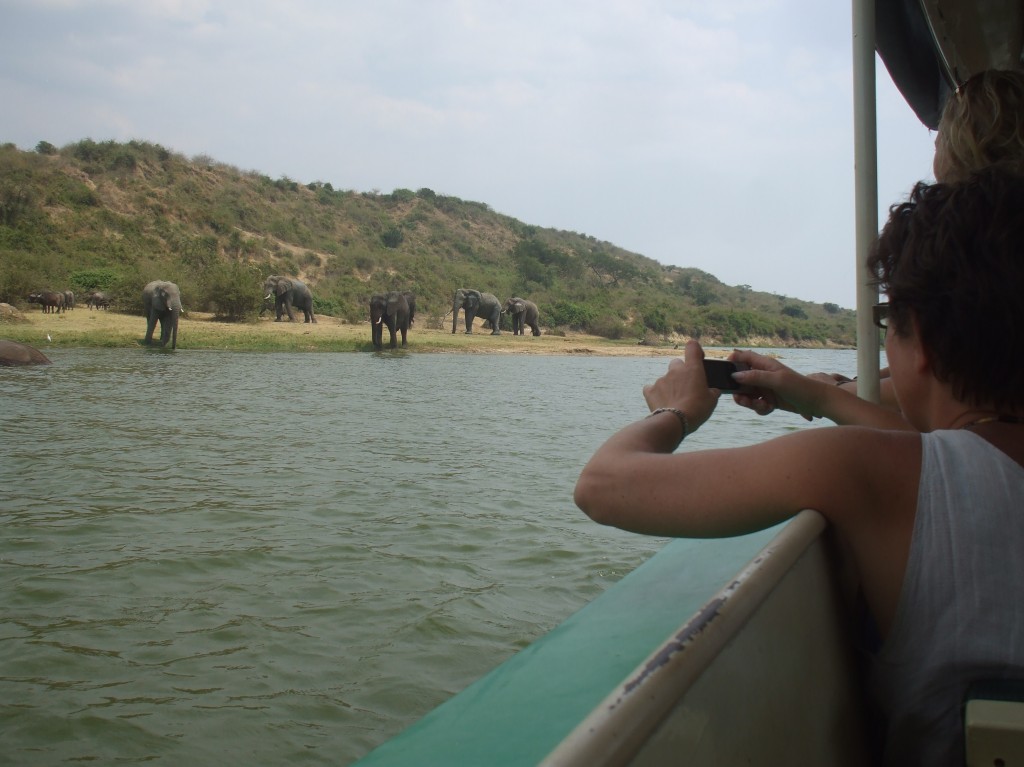 Boat safari elephants